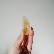 Golden Healer Freiform GM28