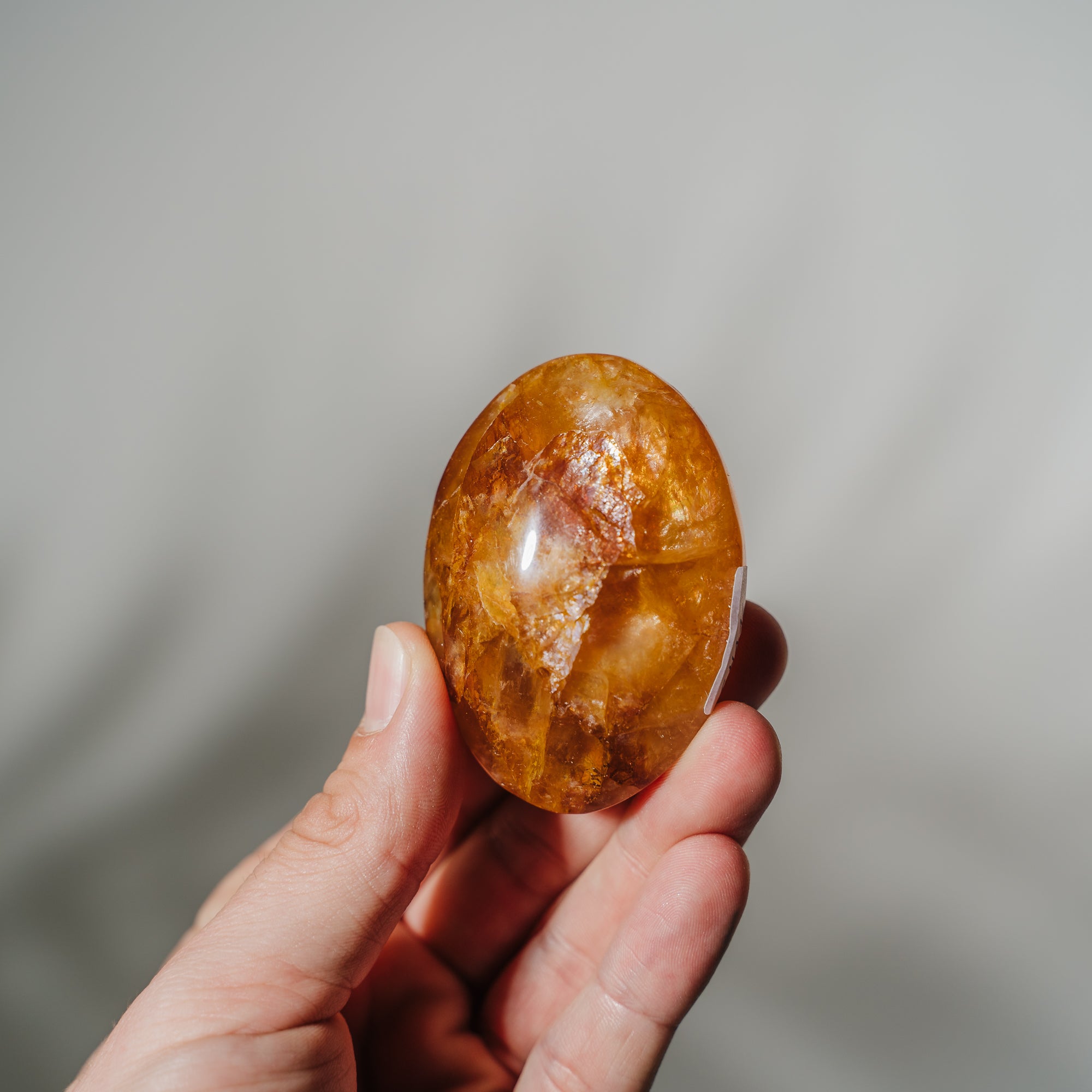 Golden Healer Handschmeichler