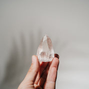 Lemurian Spitze LEF29