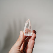 Lemurian Spitze LEF29