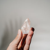 Lemurian Spitze LEF29