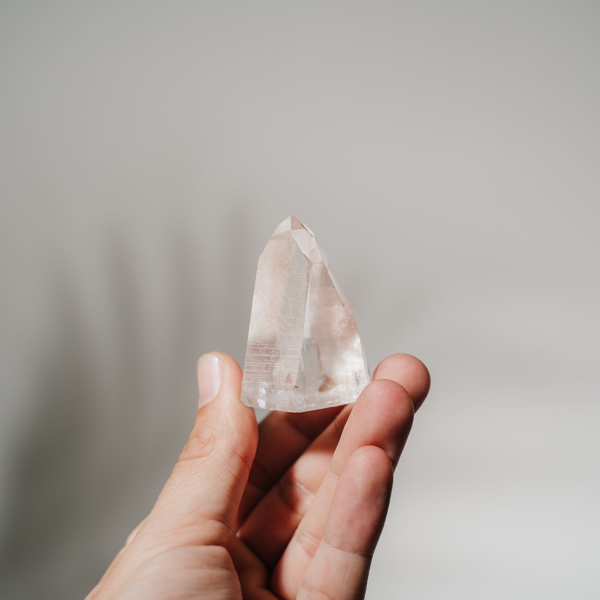 Lemurian Spitze LEF29