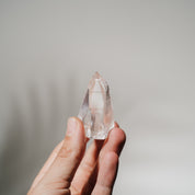 Lemurian Spitze LEF29