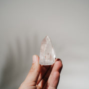 Lemurian Spitze LEF29