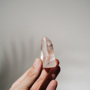 Lemurian Spitze LEH30