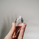 Lemurian Spitze LEQ23