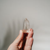 Lemurian Spitze LEW15