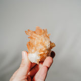 Mandarinen Quarz Stufe MQ86