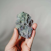 Traubenachat (Chalcedon) Stufe TI51