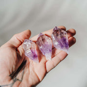 Bicolor Phantom Amethyst Rohstücke