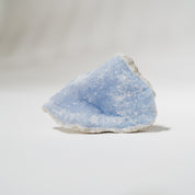 Blaustreifen Achat I(Chalcedon) Stufe BSC49