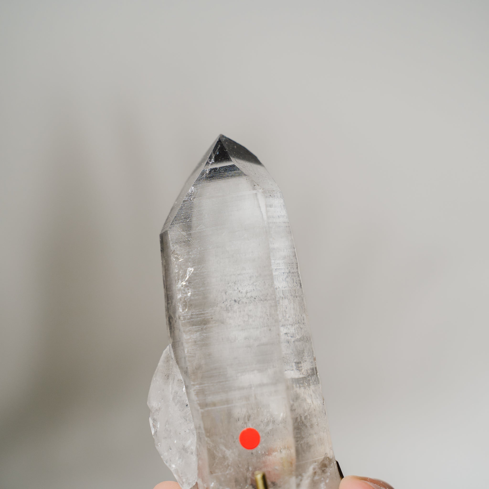 Lemurian Phantom Spitze BPC249