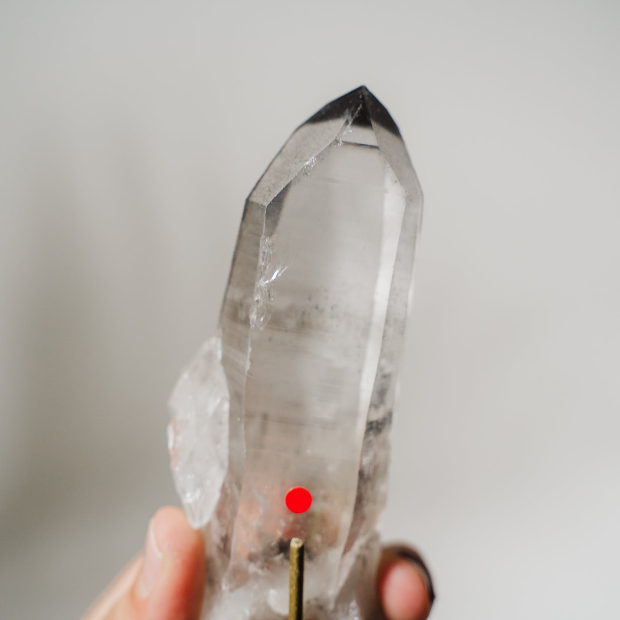 Lemurian Phantom Spitze BPC249