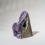 Amethyst Druse AGI215 mit seitlicher Druse