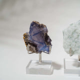 Halterungen für Mineralien / Specimen