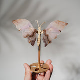 Amethyst Achat Schmetterling 36AA