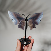 Achat Schmetterling 36B