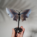 Achat Schmetterling 36B