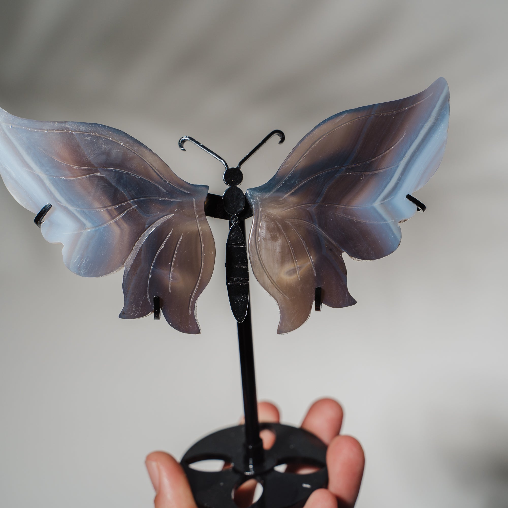 Achat Schmetterling 36B
