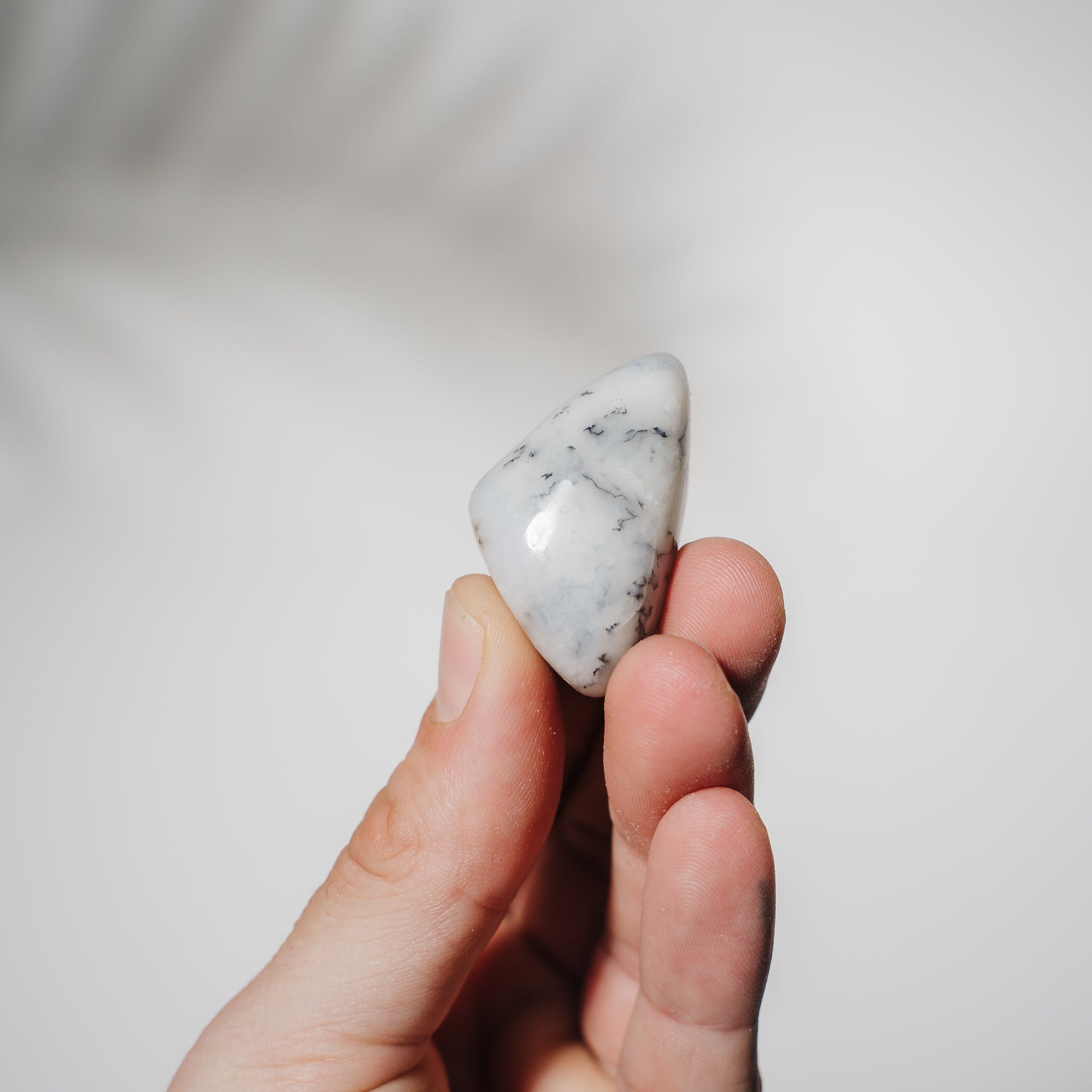 Dendriten Opal Trommelstein