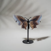 Achat Schmetterling 36B