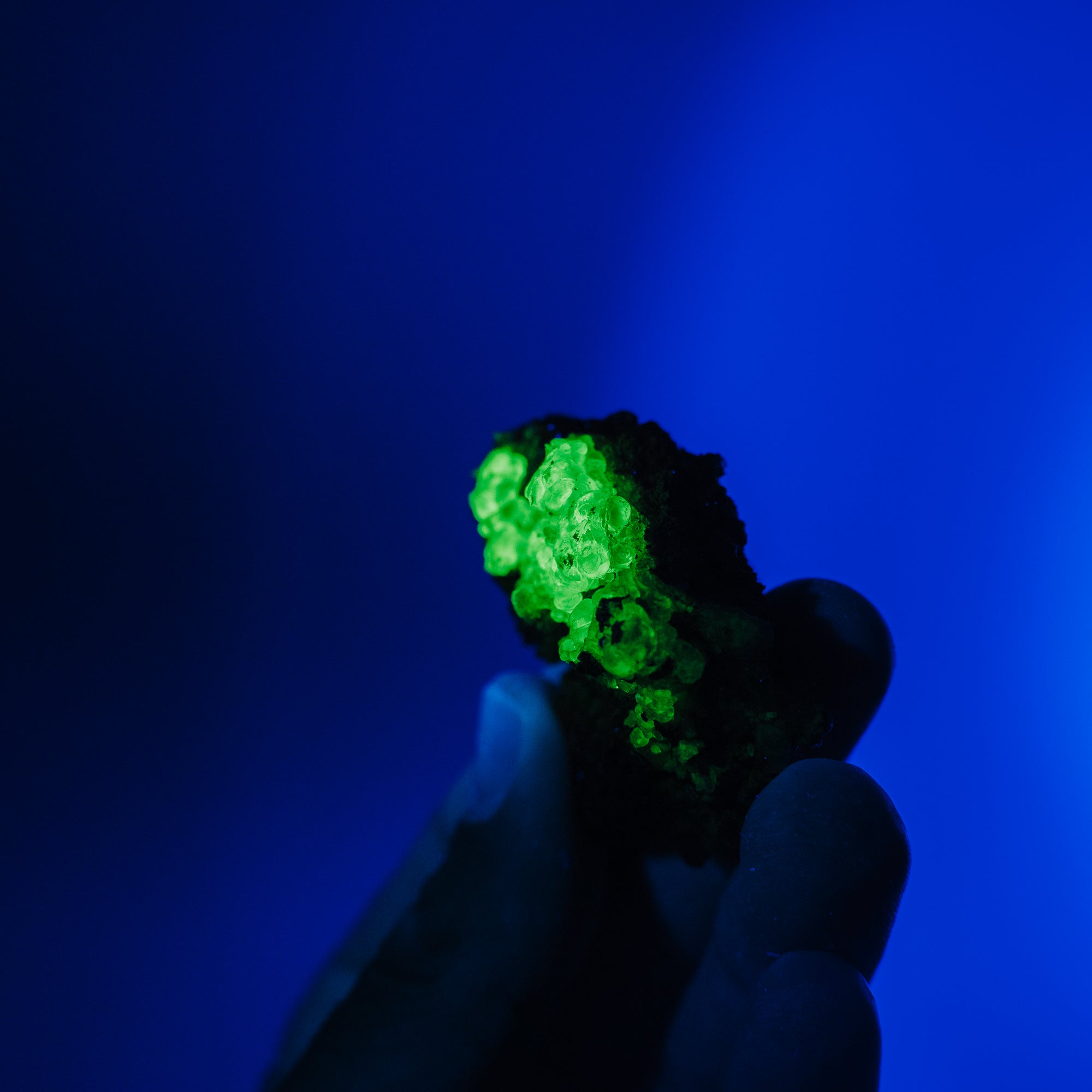 Hyalit Opal 67H