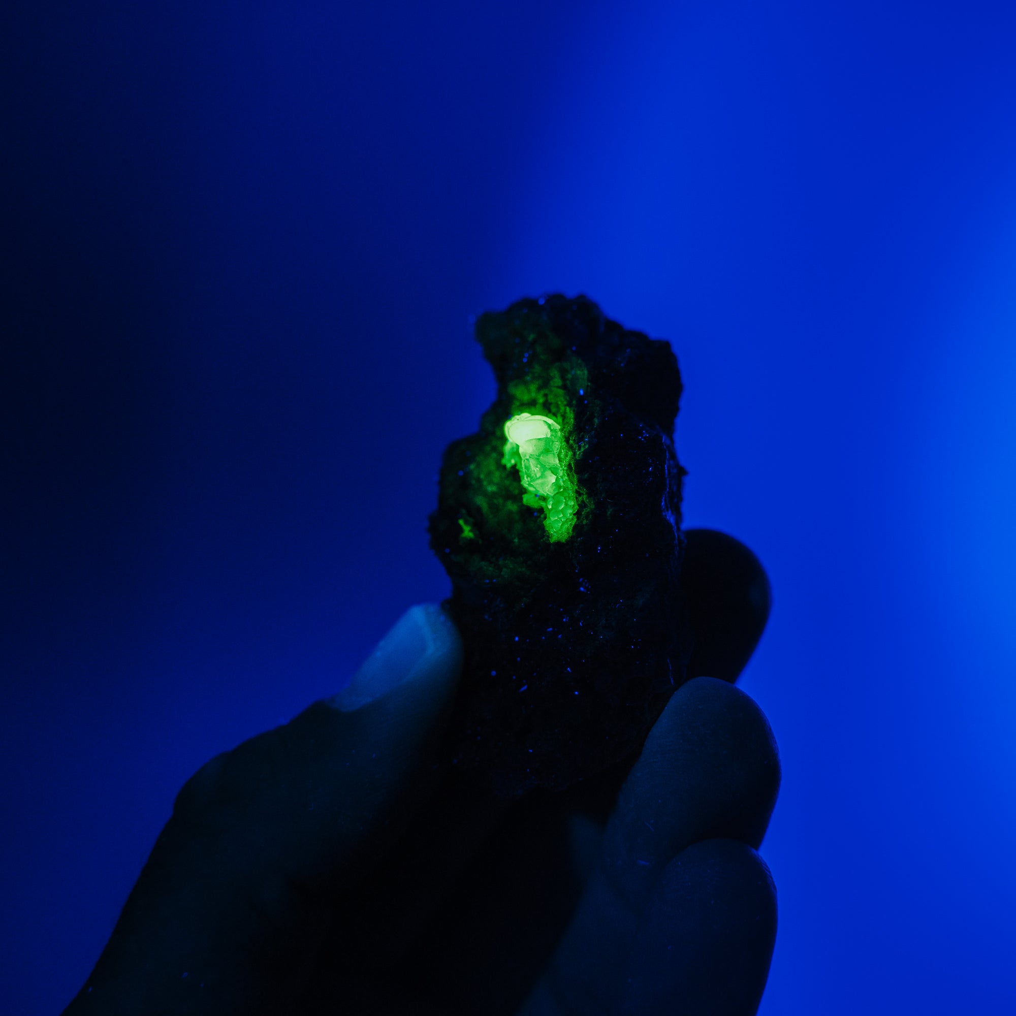 Hyalit Opal 47H
