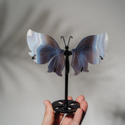 Achat Schmetterling 36D