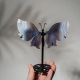 Achat Schmetterling 36D