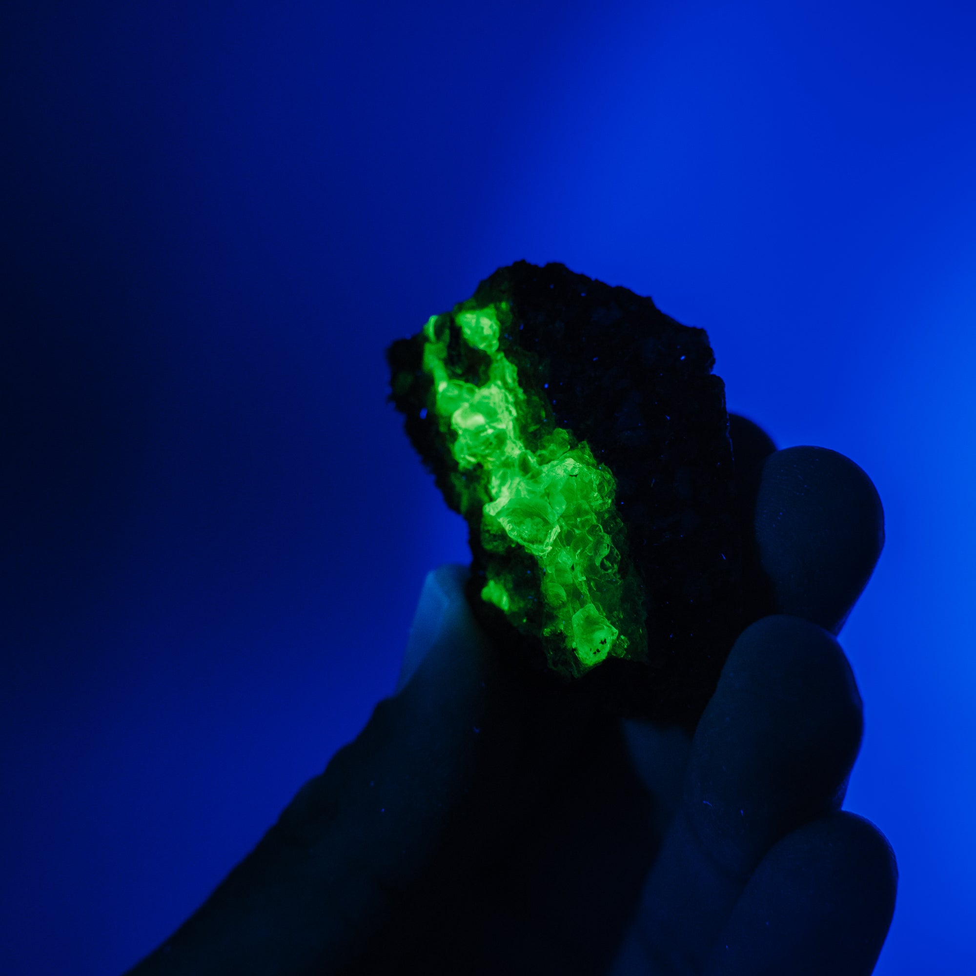 Hyalit Opal 67HA