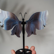 Achat Schmetterling 36D