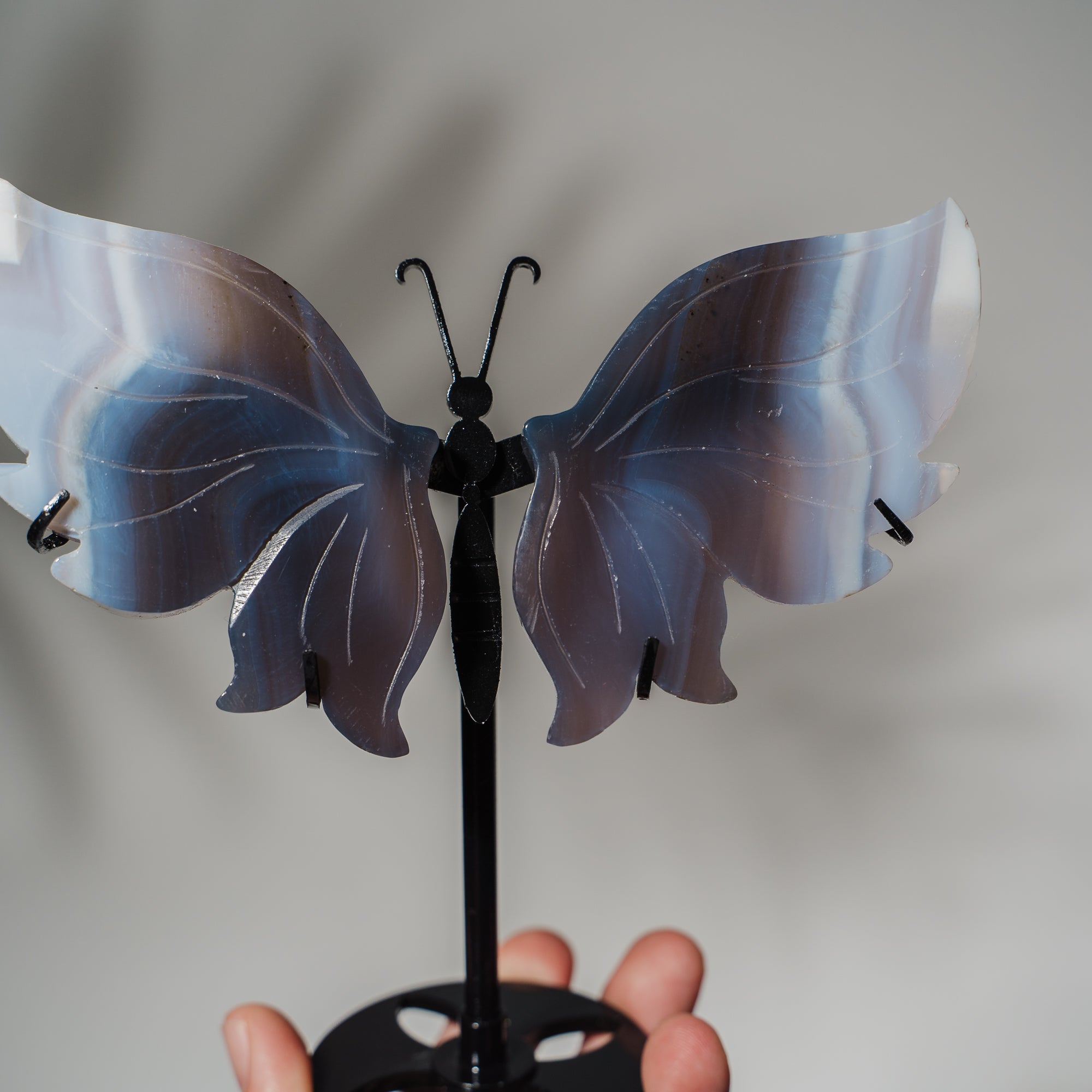 Achat Schmetterling 36D