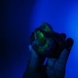 Hyalit Opal Geode 33H