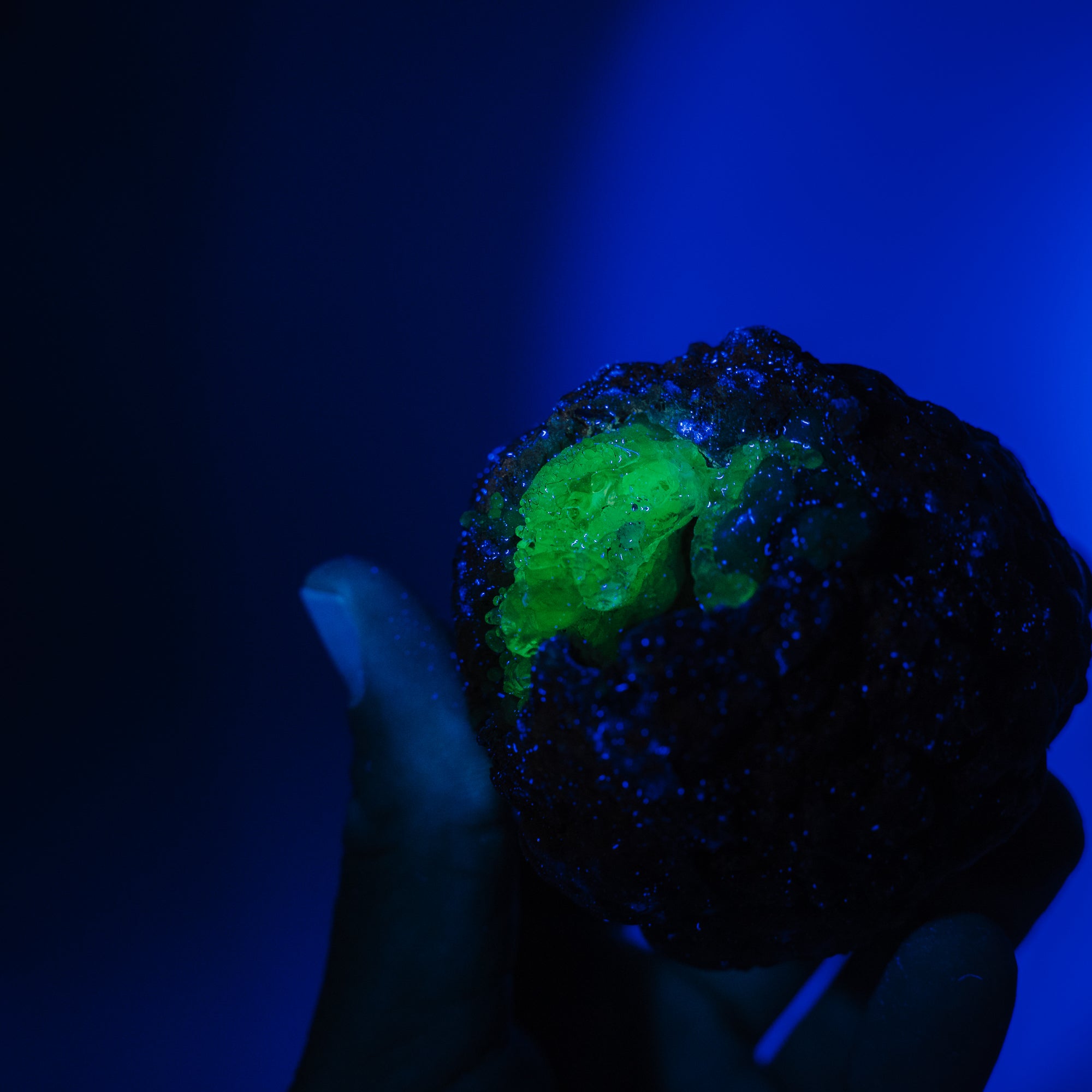Hyalit Opal Geode 43H