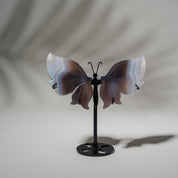 Achat Schmetterling 36D