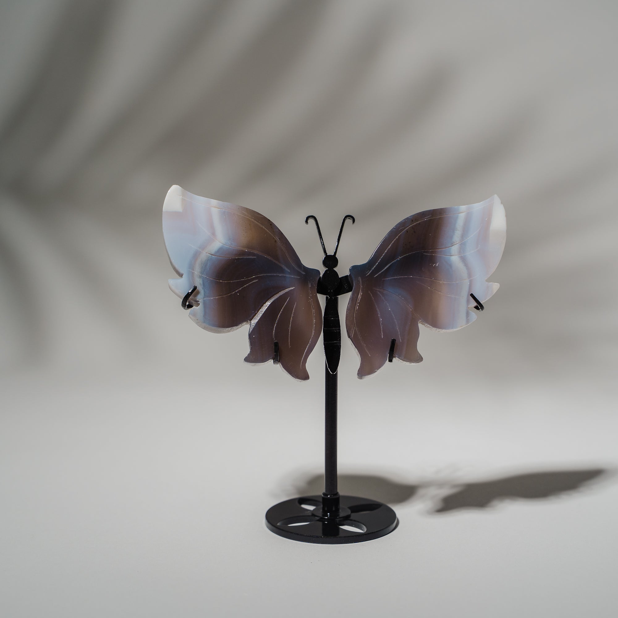Achat Schmetterling 36D