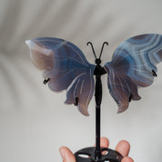 Achat Schmetterling 36E