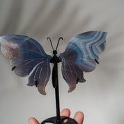 Achat Schmetterling 36E