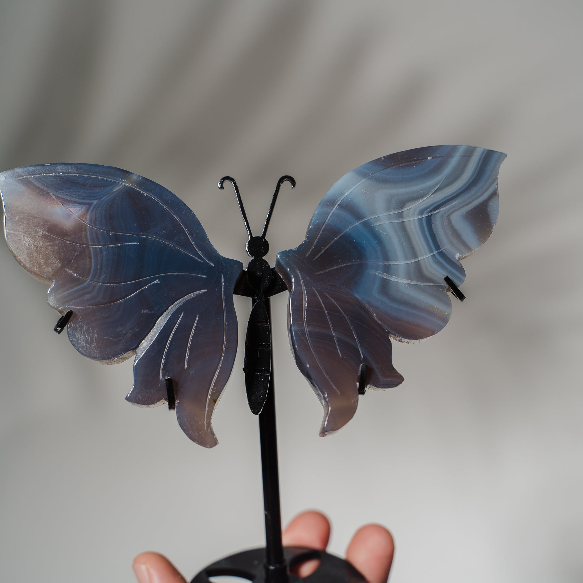 Achat Schmetterling 36E