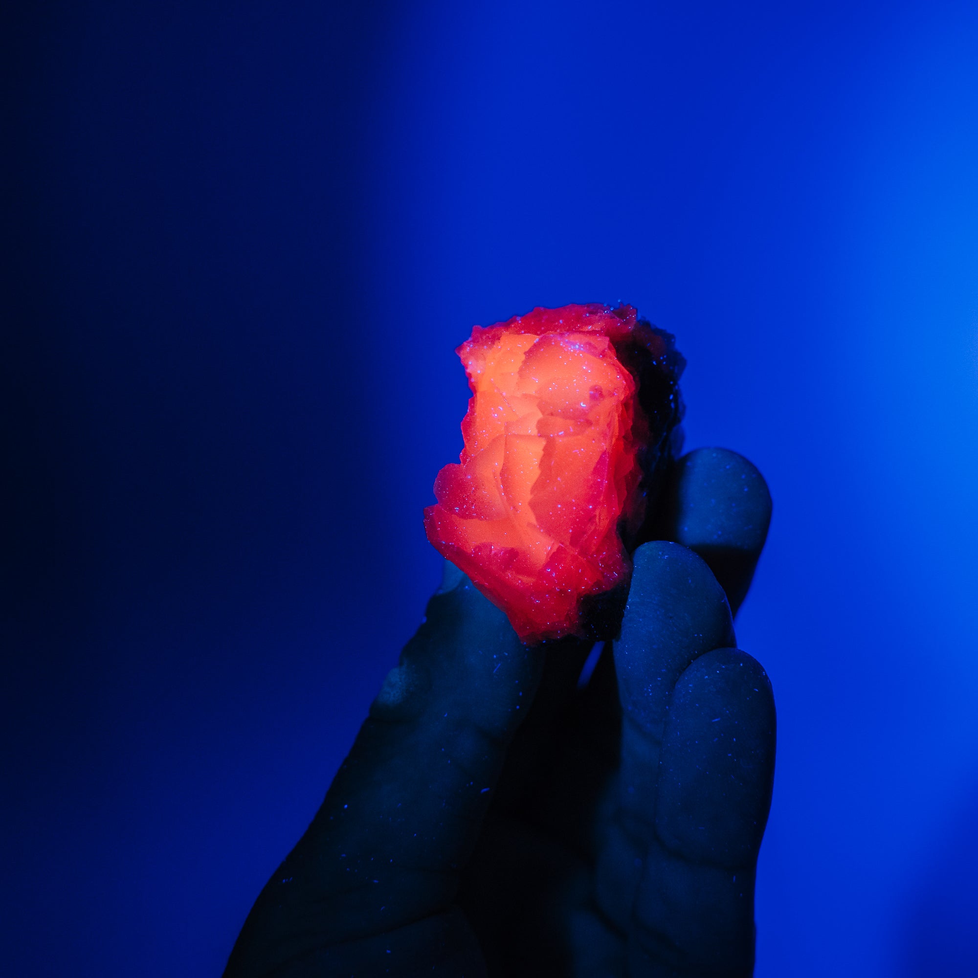 Rosen Calcit Stufe 6R