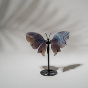 Achat Schmetterling 36E