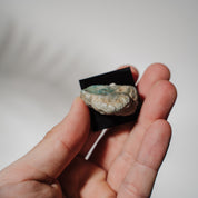 Smithsonit 43S