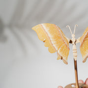 Orangen Calcit Schmetterling 36O