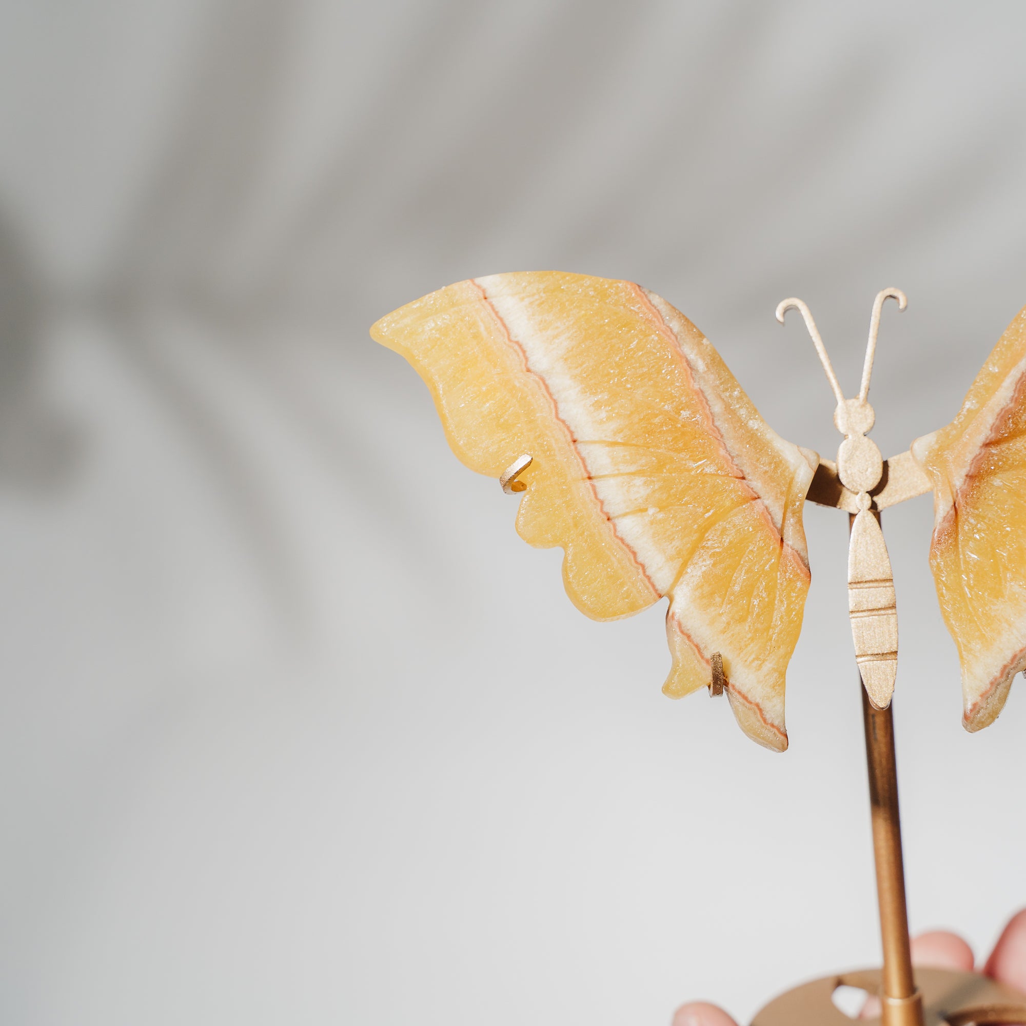 Orangen Calcit Schmetterling 36O