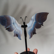 Achat Schmetterling 36A