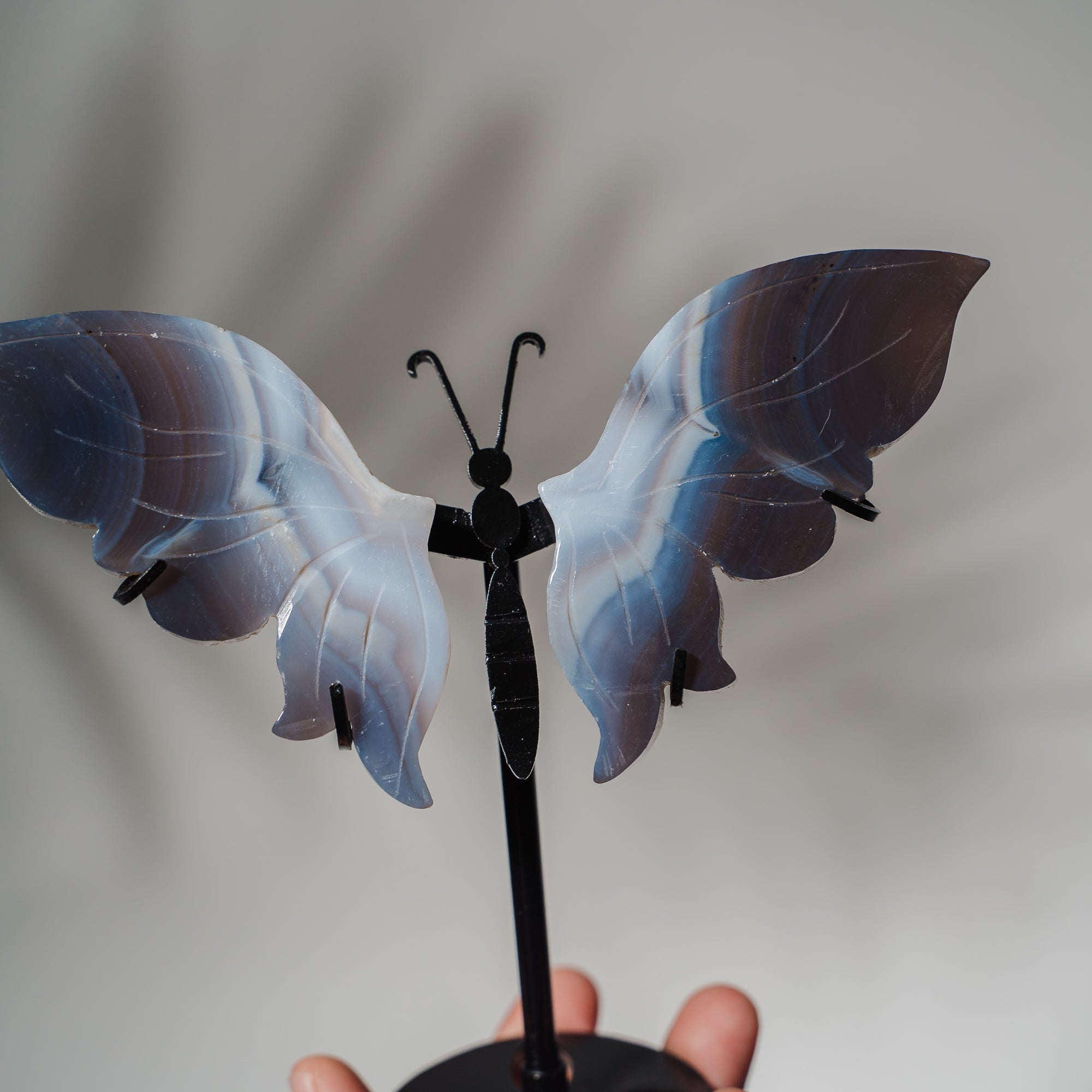 Achat Schmetterling 36A