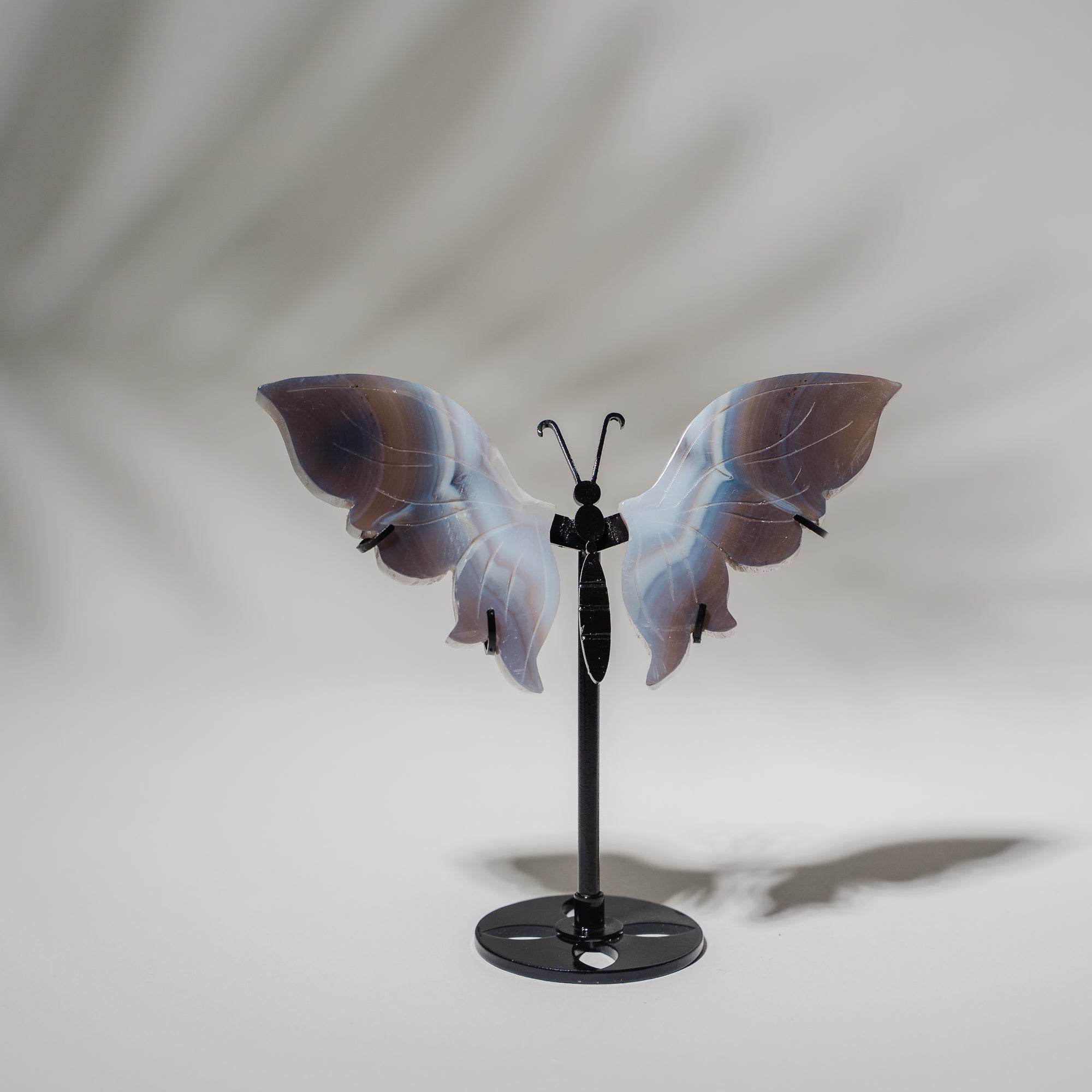 Achat Schmetterling 36A