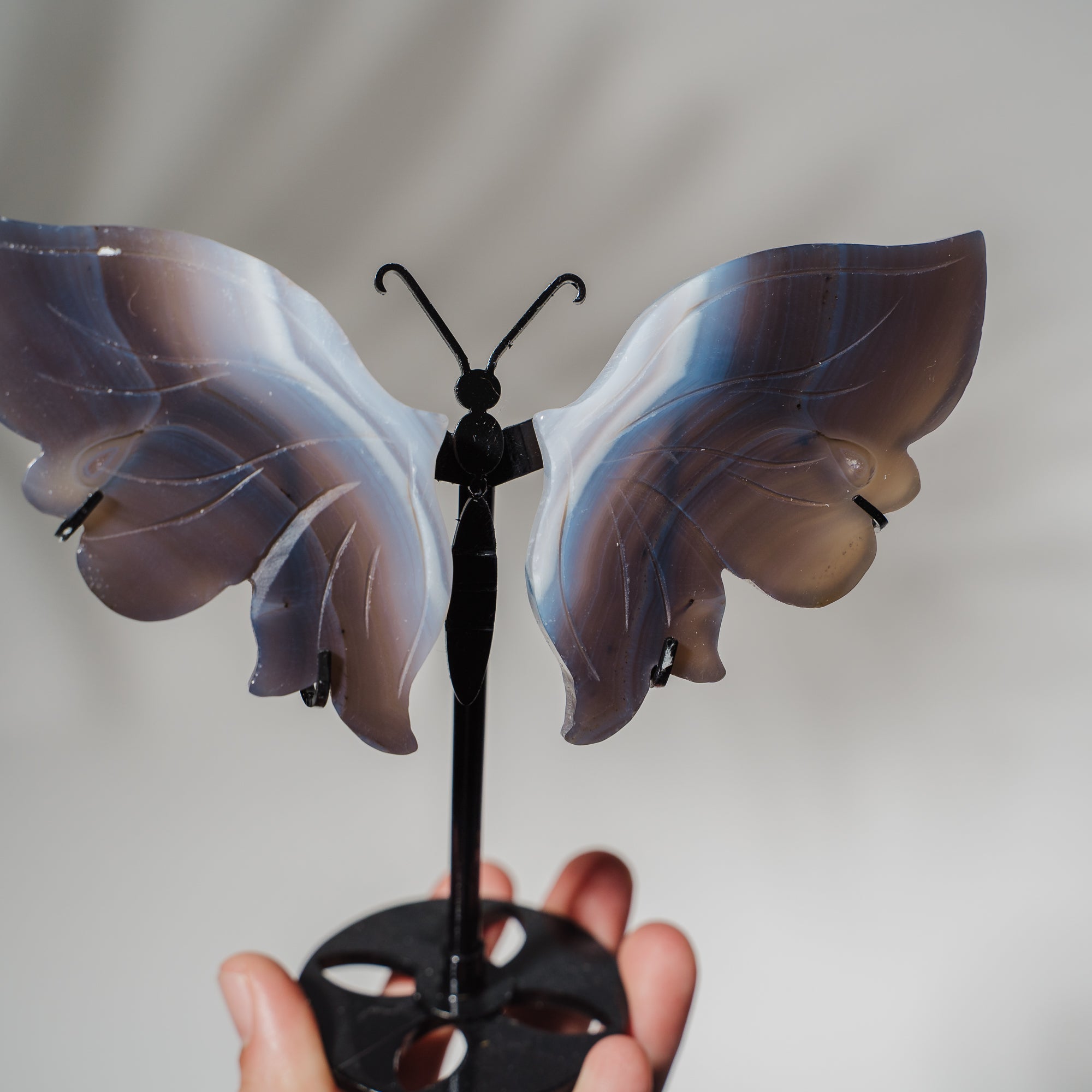Achat Schmetterling 36C