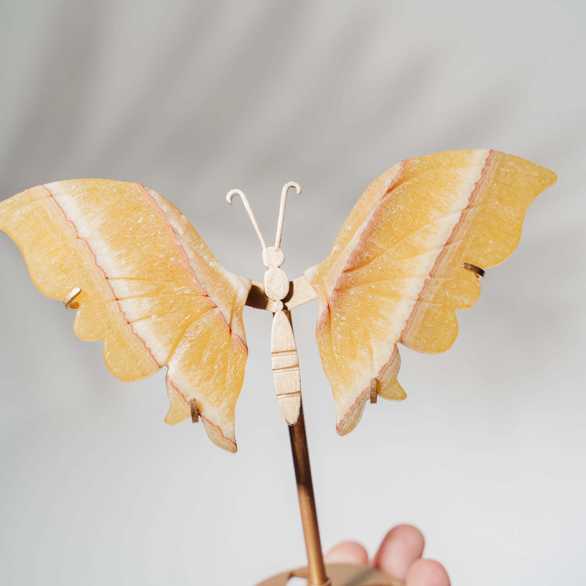 Orangen Calcit Schmetterling 36O