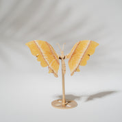Orangen Calcit Schmetterling 36O